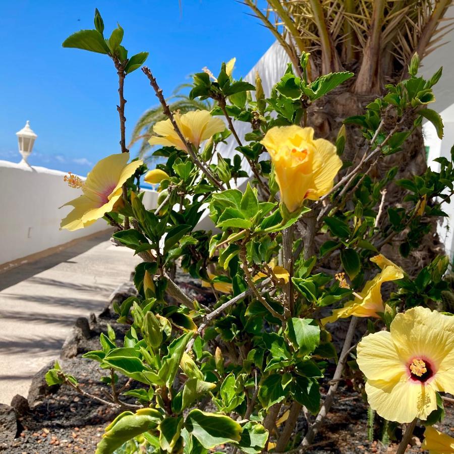 Apartamento La Concha Seaview Direct At The Beach & Sea Cotillo 外观 照片